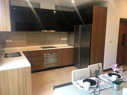Holland Link (D10), Terrace #412524691